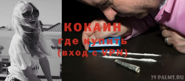 шишки Покров