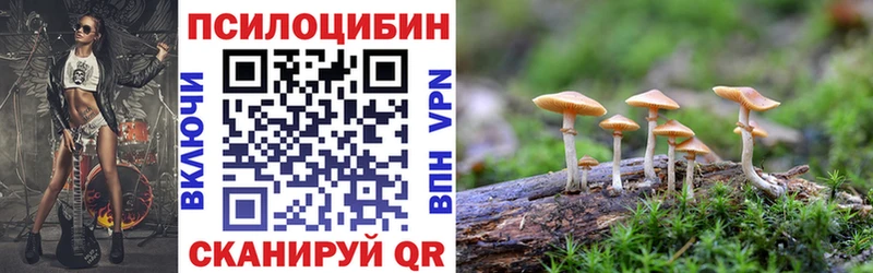 магазин    Чистополь  Псилоцибиновые грибы Magic Shrooms 